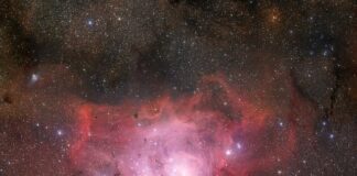 Co warto przywieźć z Czech do Polski?