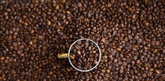 Czy w Nero jest Matcha?