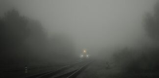 Ile godzin podawać CO2 do akwarium?