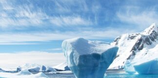 Jakie mamy rodzaje czapek?