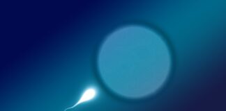 Czy plemniki przechodzą przez majtki?