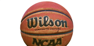 Ile wzrostu ma najniższy zawodnik NBA?