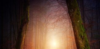 Ile wynosza miesięczne rachunki?