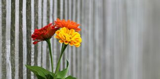 Ile kosztuje 100 metrów ogrodzenia?