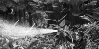 Czy warto kupić opryskiwacz akumulatorowy?