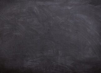 Co oznacza czarny tulipan?