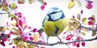 Jak usunąć żółty kolor z plastiku?