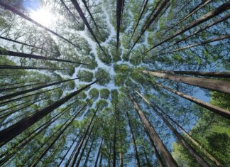 Jak zrobić daszek na balkon?