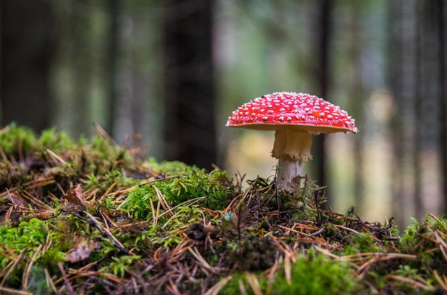 Dlaczego robi się grzyb przy oknie? Dlaczego robi się grzyb przy oknie?